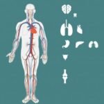 Peripheral Nerve Diseases